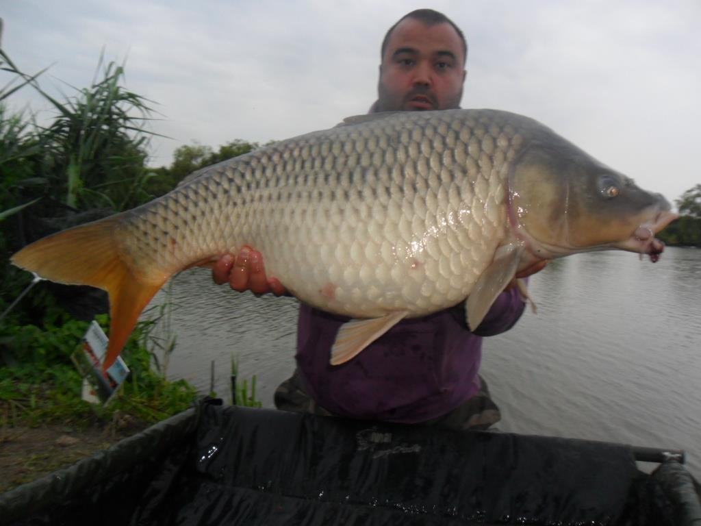 My Passion - sam0907.JPG